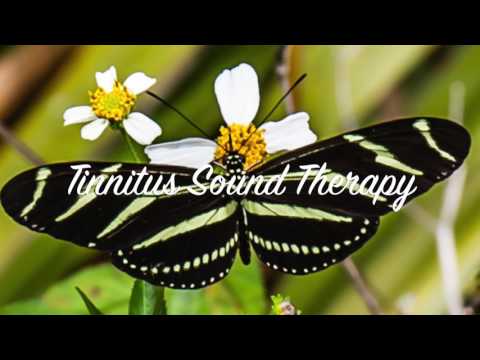 Best Tinnitus Sound Therapy Ever