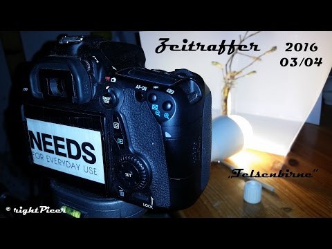 Felsenbirne Zeitraffer [+Music][4K] 04.03.2016 [rightPicer]