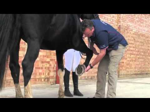 JimBlurton StraightBar