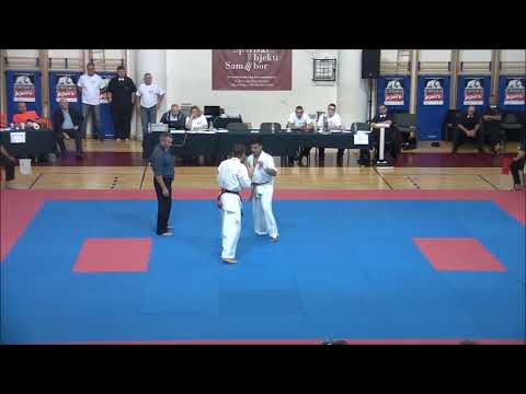 48 Croatia 2017 Daniel Sternik   Poland Vs Milad Samisade   Sweden