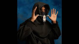 Cover art for immaculate