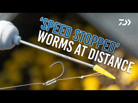 'SPEED STOPPED' Worms at Distance