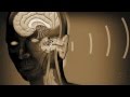 Terence Mckenna - Reclaim Your Mind 