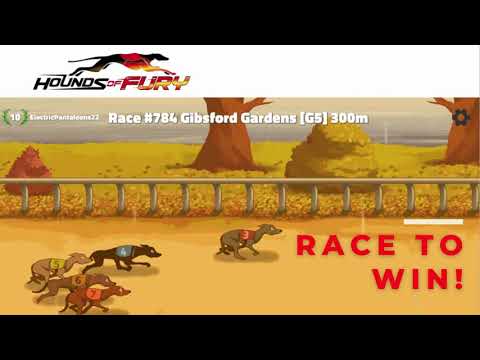 Hounds of Fury: Greyhound Race Video