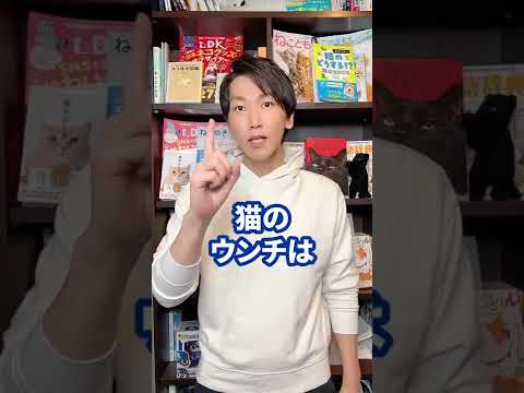 猫がうんちをしない原因と対処法