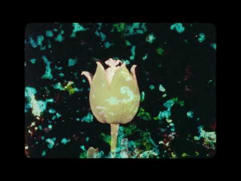 When it Was Blue - Jennifer Reeves (blu-ray trailer)