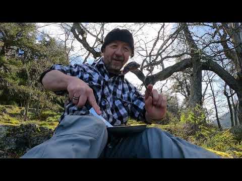 Outdoor Cooking-Lamb Chop with Roast Sweet Potato Quinoa Salad