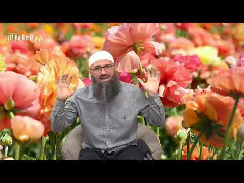 Odnos / obaveze prema ocu koji pije i kocka - Elvedin Pezić