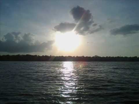 Taruma - amadeu cavalcante (araguari)