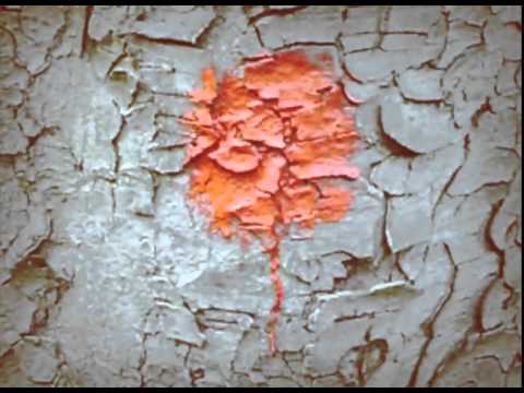 ILLUTE /// durch den selben wald