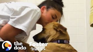 College Student Can't Say Goodbye To Her Foster Dog | The Dodo Foster Diaries