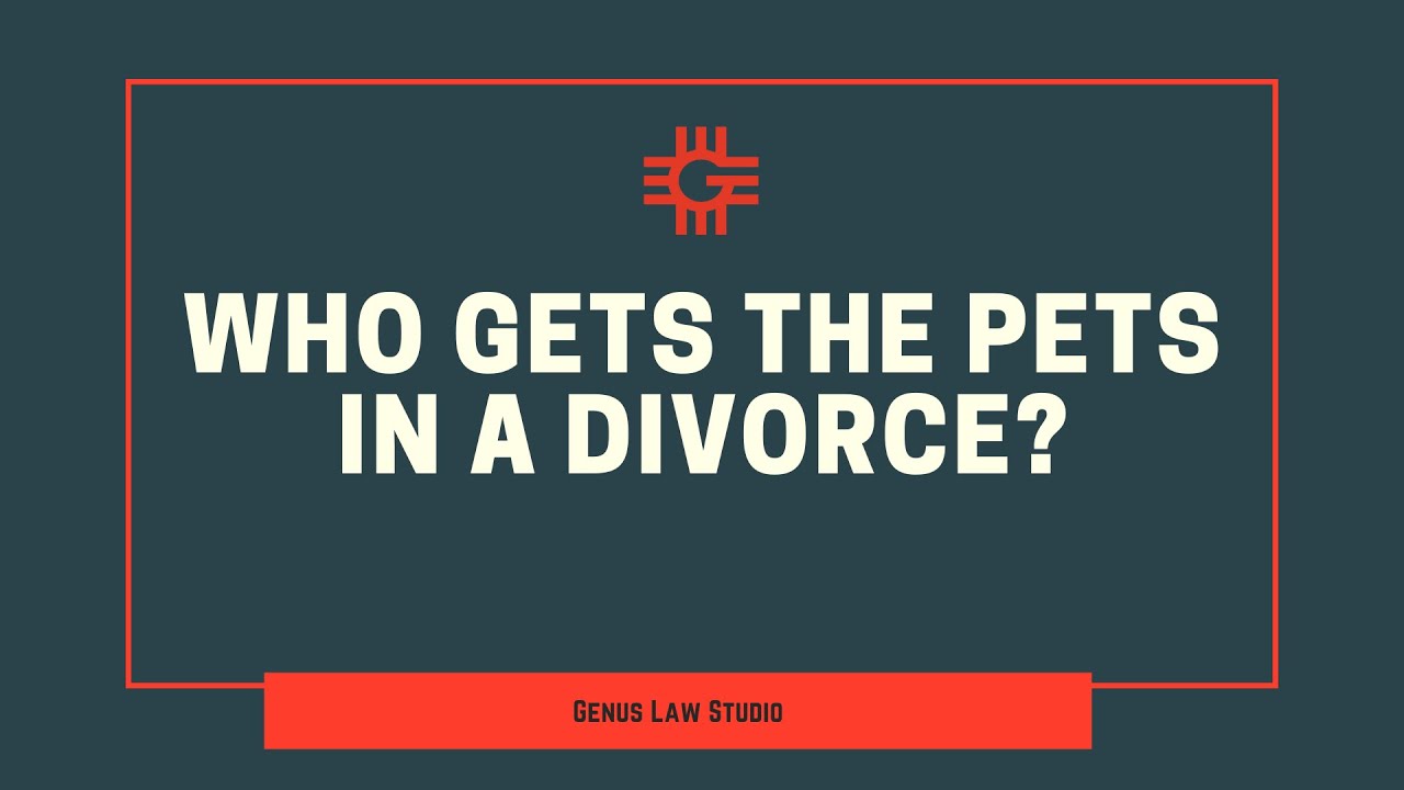 Who Gets the Pets in A Divorce?