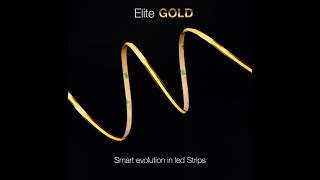 Élite 20 Gold - 20W/m - IP20