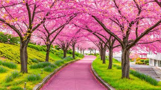 Calms, restores the nervous system 🌿 Stop thinking, stress relief music #4