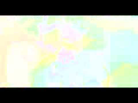 ESWC 2007 last day THE FINAL Day 4