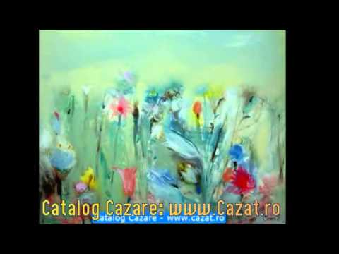 Cazare Vladesti, Vaslui - Cazat.ro