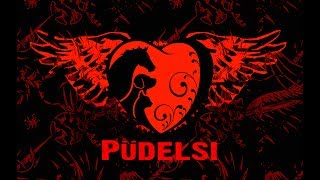 Püdelsi Ambasadorami Fundacji Centaurus