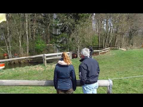 Fahrturnier Greffen 10.4.2022