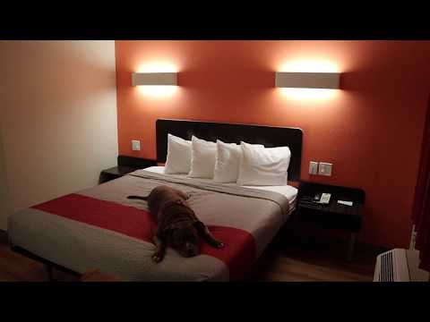 Scary Motel 6 Hell or Heaven?