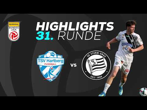 bg-highlight