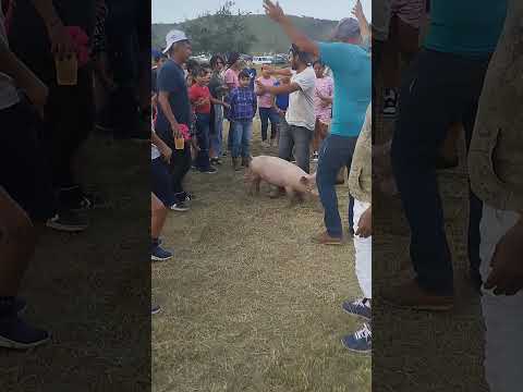fiestas de san Francisco de Asís de Tonalá Jalisco México