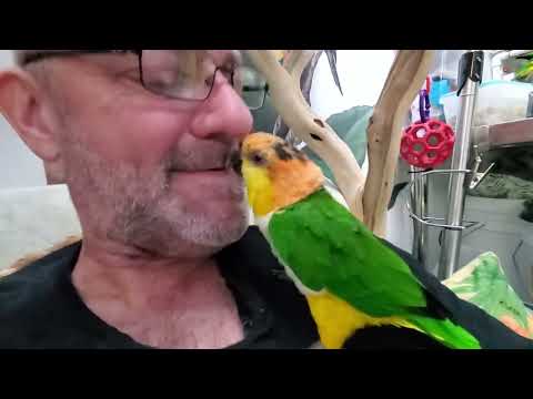 Welcome back to our 2nd recess for this Friday!!!