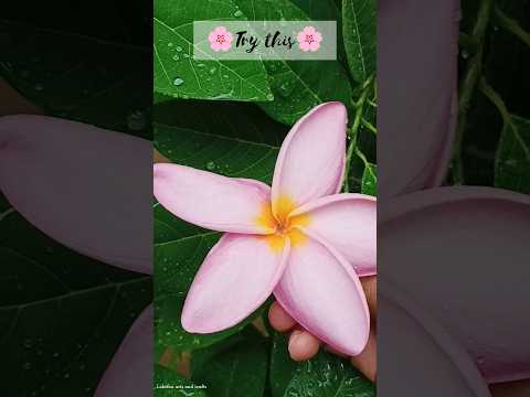 🌸Try this🌸 #shortsvideo #diy