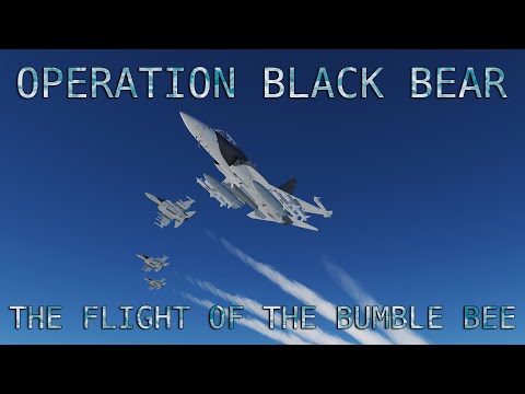 DCS JF-17 Thunder Operation Black Bear 10: The flight of the Bumblebee