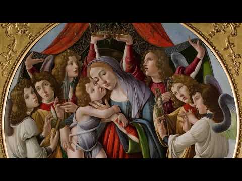 What's special about Botticelli?