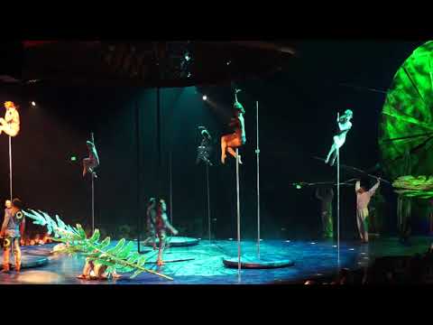 Απόσπασμα από την παράσταση Luzia [Λουθία, 2016] του «Τσίρκου του Ήλιου» [Cirque du Soleil], όπου ο χορός σε στύλο εντάσσεται στη δραματουργία του νέου τσίρκου. Ο τίτλος συντίθεται από τις ισπανικές λέξεις luz [φως] και lluvia [βροχή], ενώ πηγή έμπνευσης αποτέλεσε ο μεξικανικός πολιτισμός.