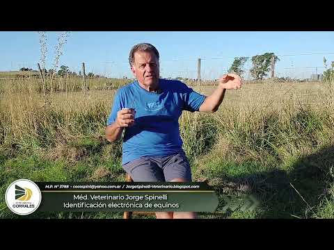 Médico Veterinario Jorge Spinelli - Identificación Electrónica en Equinos