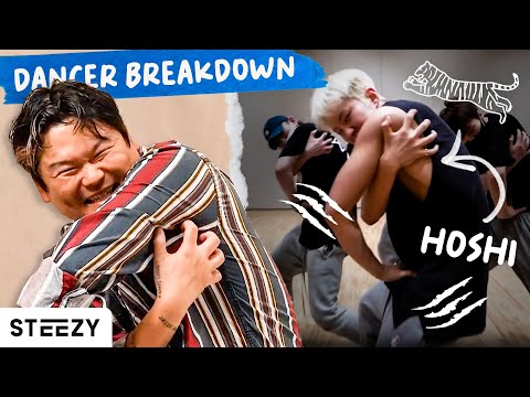 Dancer Breakdown: 호시 (HOSHI) - 호랑이 (Feat. Tiger JK)