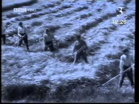 History File The Soviets: Stalin Takes Control