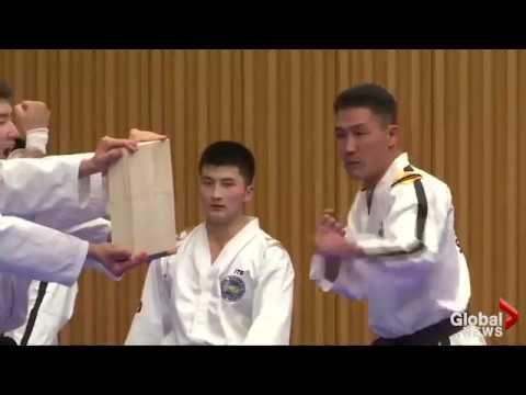 Combined North and South Korean Taekowndo team puts on dazzling demonstration
