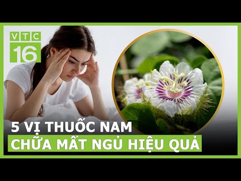 5 Bài thuốc dân gian trị mất ngủ có sẵn trong vườn nhà | VTC16