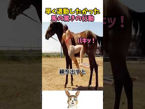 初心者に優しすぎる馬