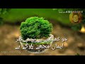 Bazeecha E Itfal Hai Duniya Mere Aage Jugjit Singh Whatsapp Status