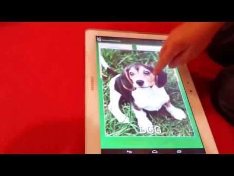 Memory Animal for Kids Video