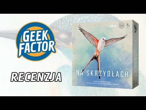NA SKRZYDŁACH - Recenzja