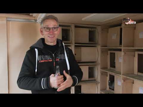 National WHZB/TBOTB 2021 Winners - 1st Ace Youngbirds: Embregts-Theunis, Hoeven