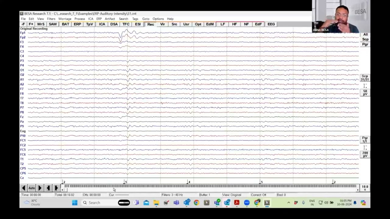 BESA Research Workshop Tutorial 1A: Data Review