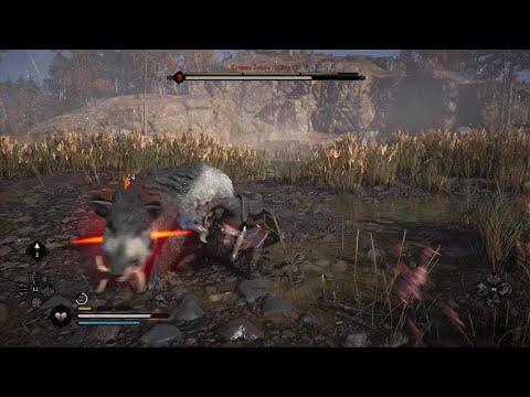 Assassin's Creed Valhalla Part 209 - Krwawa świnia