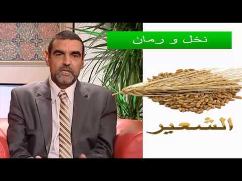 محمد الفايد : فوائد الشعير الرد بعلم على من قال ان الشعير اكل البهائم