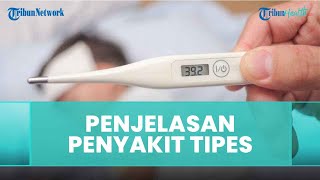Penjelasan Penularan Penyakit Tipes oleh Dokter Ayodhia