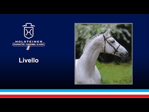 Livello v. Limbus - Ahorn Z | 2018