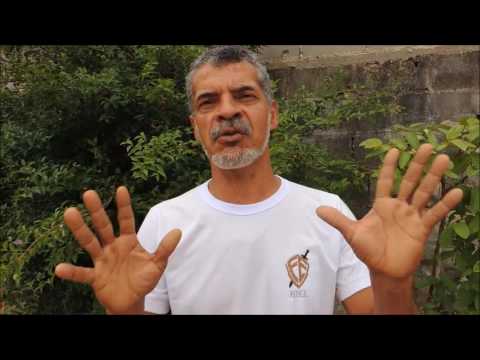 José Pereira - Rede Reuni