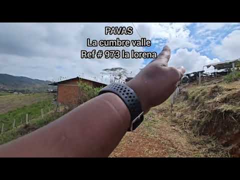 Lotes, Venta, 100 Palos - $140.000.000