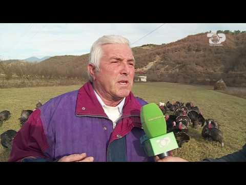 Ne Shtepine Tone, 22 Dhjetor 2016, Pjesa 1 - Top Channel Albania - Entertainment Show