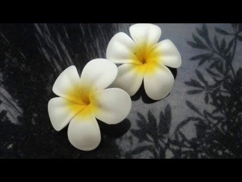 Nasi dre dre~ Starchel ft. Dj lil Criz