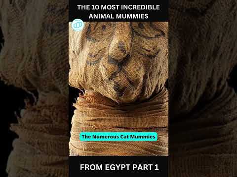The 10 Most Incredible Animal Mummies from Egypt Part 1 #shorts